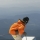 Alexxski