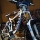 Xtreme_Rider_12