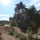 mtbincorsica mtbincorsica