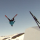 freeline