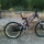 streetsnake83