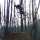 Yann_DiRt78