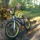 ridersansfrein