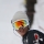 oakley73