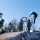 franck_stp_67