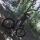 JumpingMachine