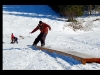 rail 7 laux: clem>