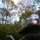totobike