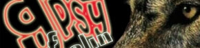 GPSYFeeliN1