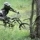 vivrider_0107