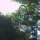 toma_rider_29 toma_rider_29