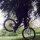 Michael_Bosko
