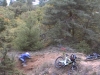 freeride
