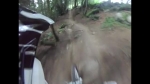 Vidéo