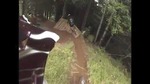 Vidéo