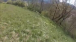 Vidéo