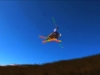 Set In Motion - Two planks production