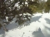 un mois d'avril &agrave; Snowbird