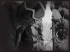 Teaser The Idea