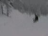 1&egrave;re vraie neige dans le Mercantour