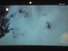 Crash in courchevel freeride competition