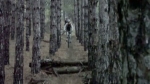Vidéo