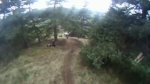 Vidéo