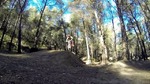 Vidéo