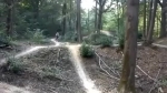 Vidéo