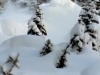 the massive teaser T.Hall