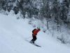Love spring... (Vosges inside )