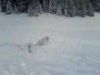 Backflip viand&eacute;!