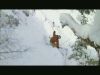 Salomon Jap...>