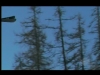 Ski nautique aux Orres