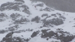 fwt kirkwood & la serie noire. 