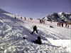 piau freestyle