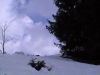 Backflip