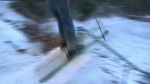 Vidéo