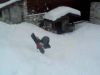 backflip to headpland