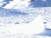 Snowkite : ENTROPY (trailer)