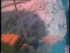 Kiteboardin...>