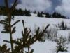 snowblots teaser