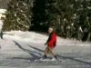 Telemark : initi&eacute;s en progr&eacute;s