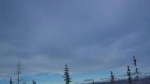 Vidéo