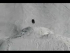video corren&ccedil;on xmens