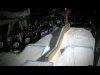 promo matt walker