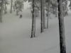 Mt. Bachelor March Powder