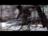 teaser stimulus