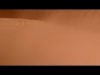 Rastapala Teaser