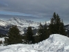saison 2007-2008